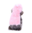 Halloween Christmas dog clothes