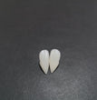 Halloween Vampire Zombie Dentures