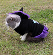 Christmas Wizard Pet Halloween Dog Clothes Pet Clothes