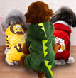 Autumn And Winter Transformed Into Dog Pet Costumes