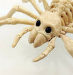 Halloween horror decorations