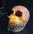 Scary Skull Dress Up Props Halloween Decorations