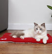 Christmas Pet Mat Super Soft Dog Mat For Christmas