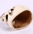 Halloween Home Skull Ashtray Flower Pot