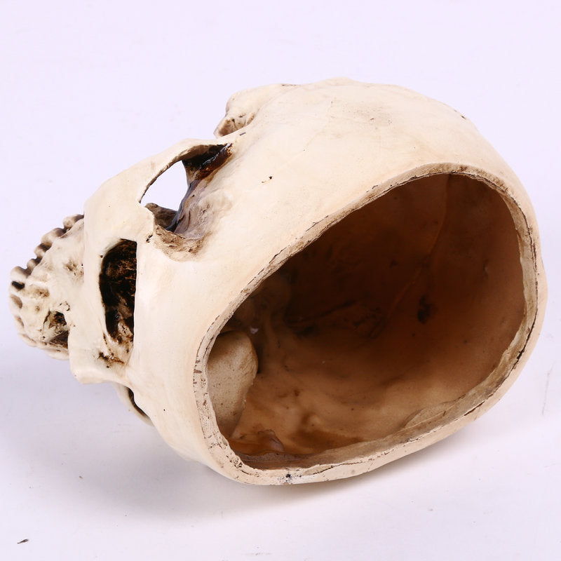 Halloween Home Skull Ashtray Flower Pot