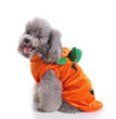 Halloween Christmas dog clothes