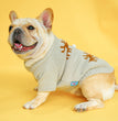 Pet christmas sweater