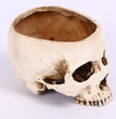 Halloween Home Skull Ashtray Flower Pot