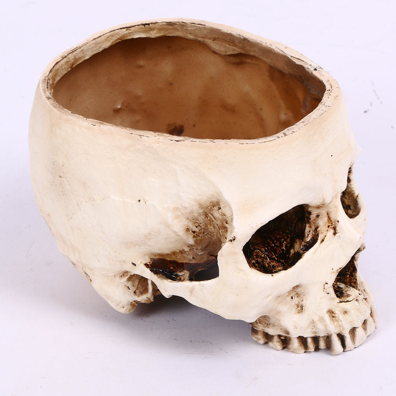 Halloween Home Skull Ashtray Flower Pot