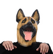 Halloween Masks Cartoon Man And Woman Horror Dance Adult Cos Latex Mask Caps Animal Police Dog Caps