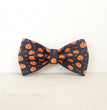 Pet supplies set Halloween style set with bow set