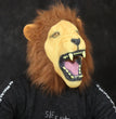 Halloween Horror Party Mask