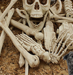 Halloween Skeleton Bones 28pcs Halloween Prop Skeleton Skull Haunted House Horror Accessory Party Decorations Tricky Bones Skull