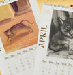 2024 Calendar Interesting Animal Home Wall Calendar