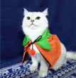 Halloween Pumpkin Double Sided Cape Dog Party