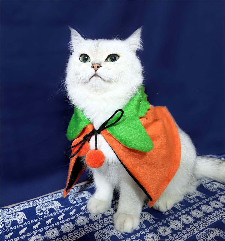 Halloween Pumpkin Double Sided Cape Dog Party