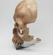 Skull Decorative Night Light Funny Ideas