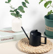 Mini Watering Can for Indoor Plants Stainless Steel Small Watering Can 11Oz/300Ml