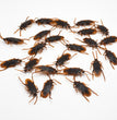Halloween Simulation Cockroach Tidy Funny Disgusting Scary Toys