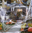 Sqft Halloween Spider Web Decorations Super Stretch White Webbing