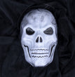 Halloween skull decoration
