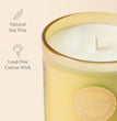 Rose Scented Candles, Candles Gifts for Women, Decorative Candles with Cute Squirrel Lid, Luxury Jar Candles for Home Decor, Natural Soy Wax, 8.5 Oz 60 Hours