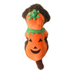 Halloween pet clothes pumpkin demon transformation costume
