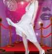 Halloween Ladies Dress Costume Costume
