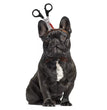 Pet Dog Cats Headdresses Halloween Pet Cat Headgear