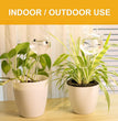 Plant Watering Globes Self Watering Planter Insert Glass Spikes, Hand Blown Clear Automatic Water Bulbs for Outdoor&Indoor Plants, 6.4Oz/190Ml Capacity, 3 Cats