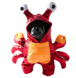 Turn Into A Cat And Dog Costume For Halloween