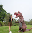 Halloween Party Inflatable Suit, Inflatable Dinosaur