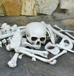 Halloween Skeleton Bones 28pcs Halloween Prop Skeleton Skull Haunted House Horror Accessory Party Decorations Tricky Bones Skull