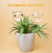 Plant Watering Globes Self Watering Planter Insert Glass Spikes, Hand Blown Clear Automatic Water Bulbs for Outdoor&Indoor Plants, 6.4Oz/190Ml Capacity, 3 Cats
