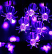 Led decorated Halloween lights