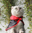 Halloween Warm Superman Pet Cloak
