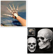 Halloween Finger Joints Synchronously Grasping Paw Props