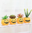 Halloween Succulent Flower Pot Ceramic Flower Pot Aromatherapy