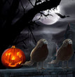 Halloween garden gardening decoration