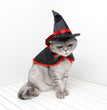 Cross-border Amazon Halloween Pet Cloak Cat Dog Saint