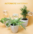 Plant Watering Globes Self Watering Planter Insert Glass Spikes, Hand Blown Clear Automatic Water Bulbs for Outdoor&Indoor Plants, 6.4Oz/190Ml Capacity, 3 Cats