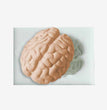 Halloween Heart Human Brain Shaped Silicone Mold