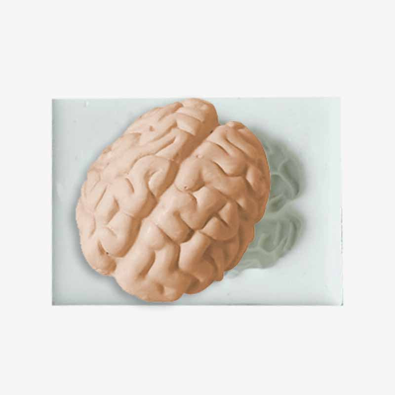 Halloween Heart Human Brain Shaped Silicone Mold
