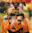 Painting Halloween Full Square Diamond Cartoon Embroidery Cross Stitch Kit