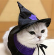 Pet Halloween Wizard Dressup Decoration Set