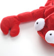 Halloween clothes red Aussie dragon pet clothes