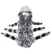 Creative Cats, Dogs And Large Dogs Turn Into Costumes