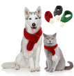 Pet christmas wool scarf