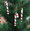 Tri-color 6 Opp Christmas Small Canes