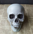 Halloween Decoration Artificial Skull